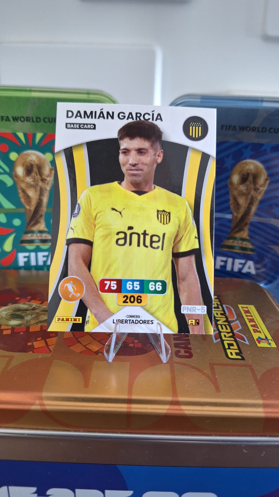 Damián García