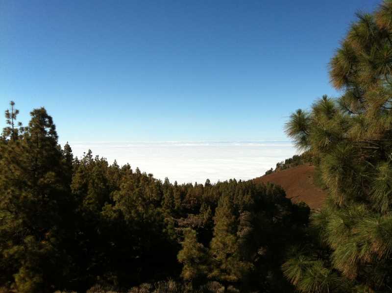 Trade Winds and Clouds on Tenerife