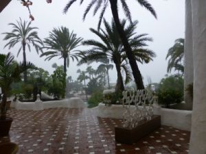 hotel jardin tropical rain Tenerife