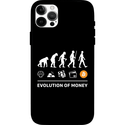 Evolution of Money iPhone 12 Pro Max Case - Black