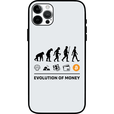 Evolution of Money iPhone 12 Pro Max Case - White