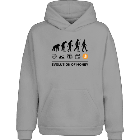 Evolution of Money Hoodie - Grey / XXL