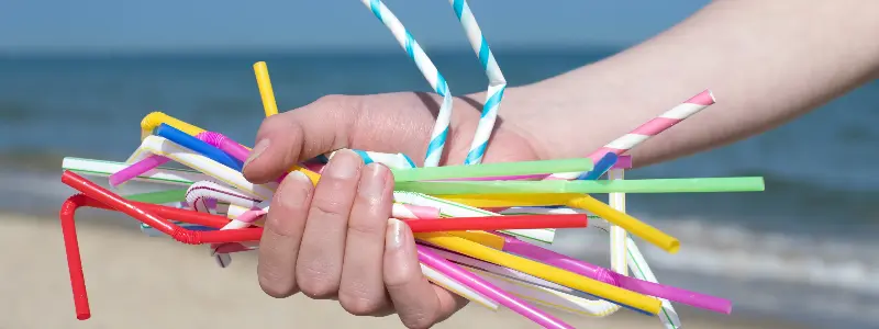 How To Recycle and Dispose of Plastic Straws Safely and Properly