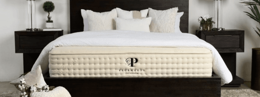 plushbeds-organic-latex-mattress.png