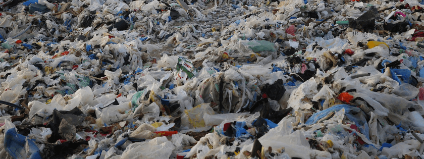 how-do-regular-plastic-pet-waste-bags-damage-the-environment.png