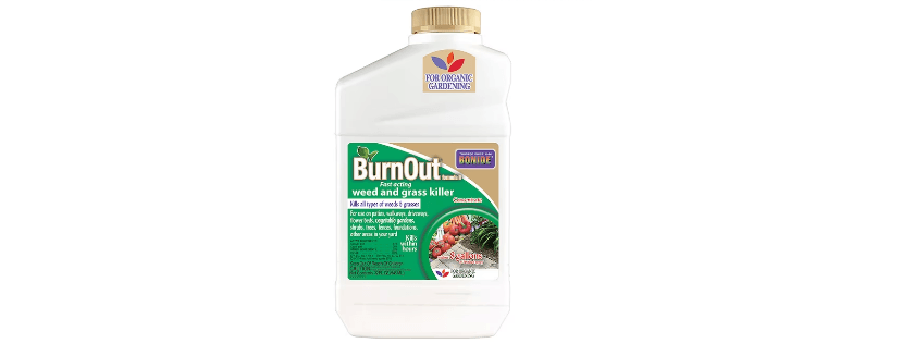 bonide-burn-out-organic-weed-and-grass-killer.png