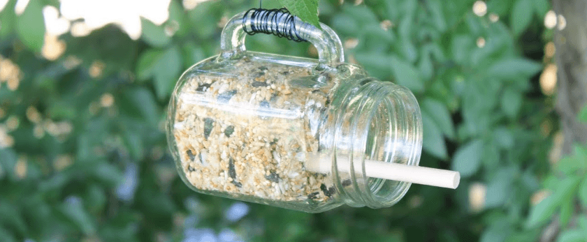 why-making-your-own-bird-feeder-is-better-for-the-environment.png