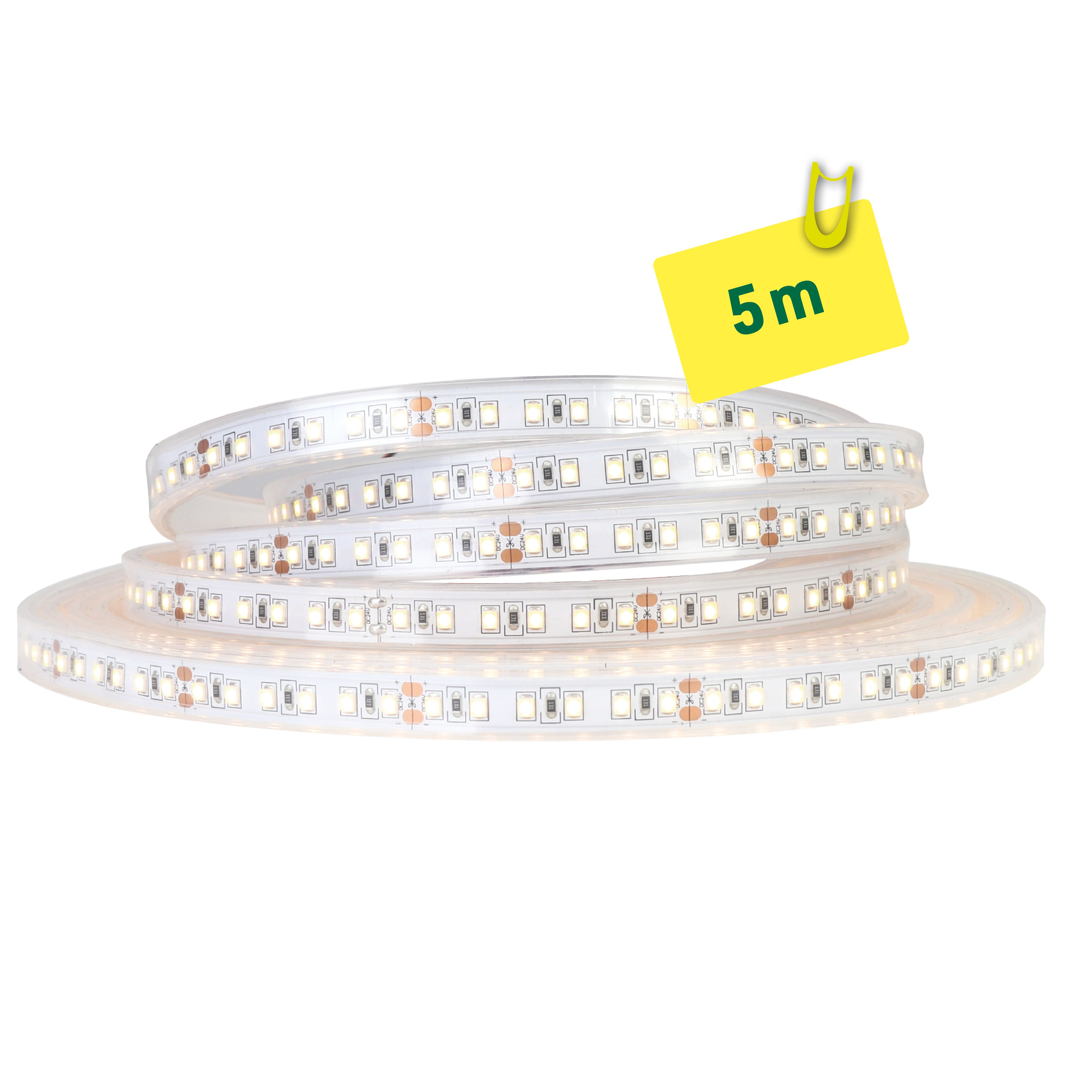 ETLED STRIP 10W IP65 2700K 12MM 24V DC 5M CRI 80 1220LM/M