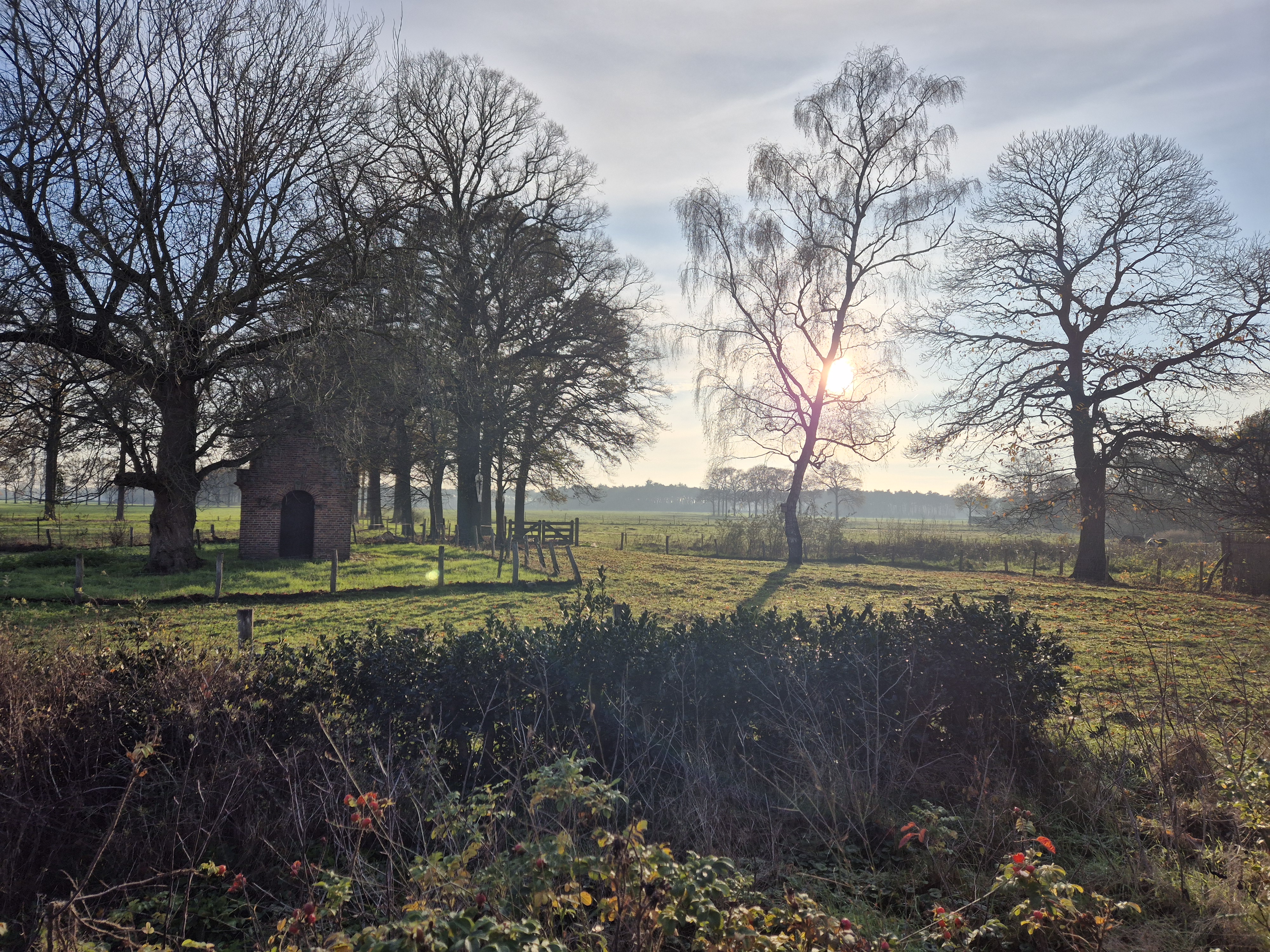Wandelen en fietsen rond Rijsbergen