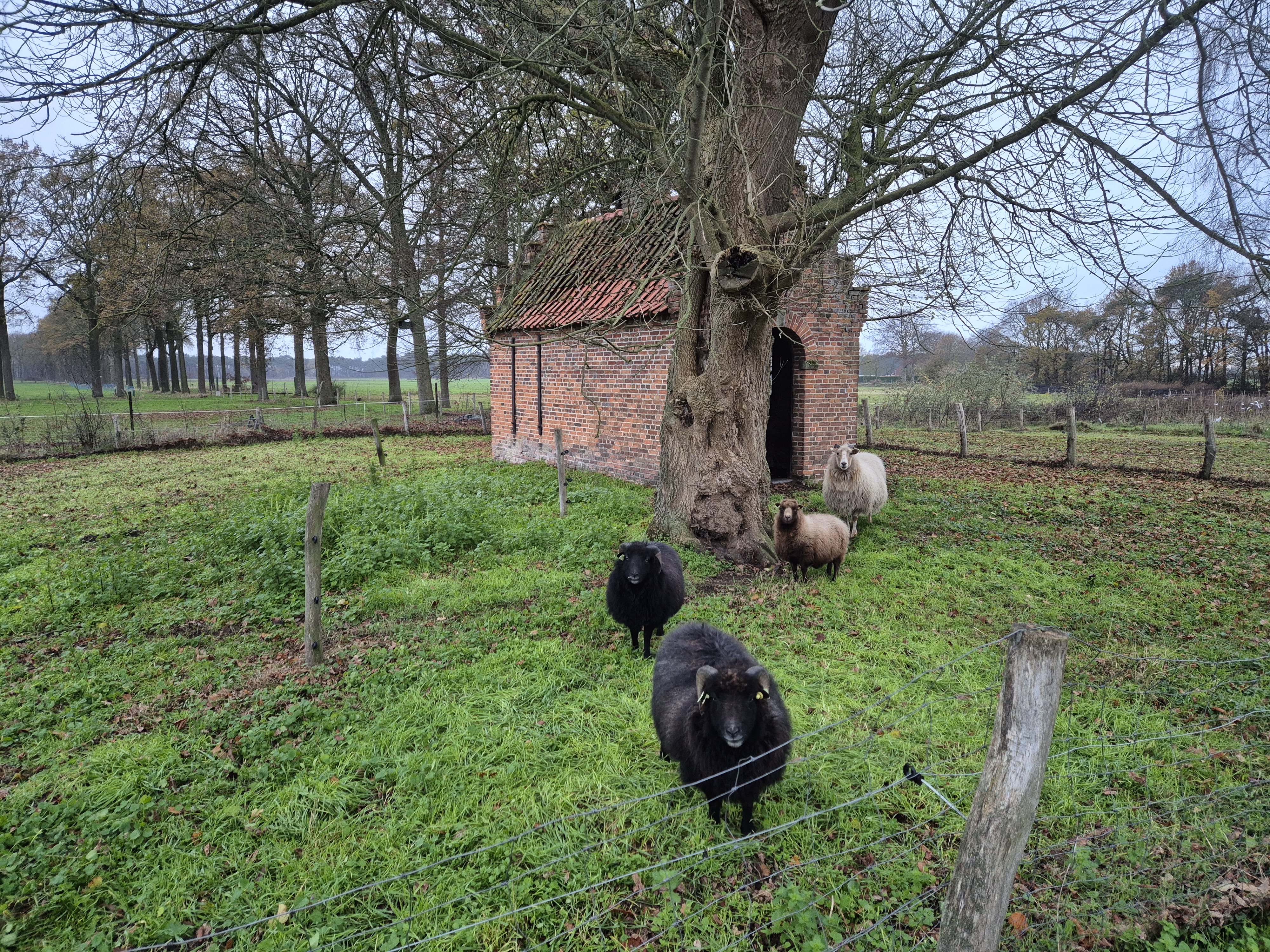 Praktische informatie Bed & Breakfast