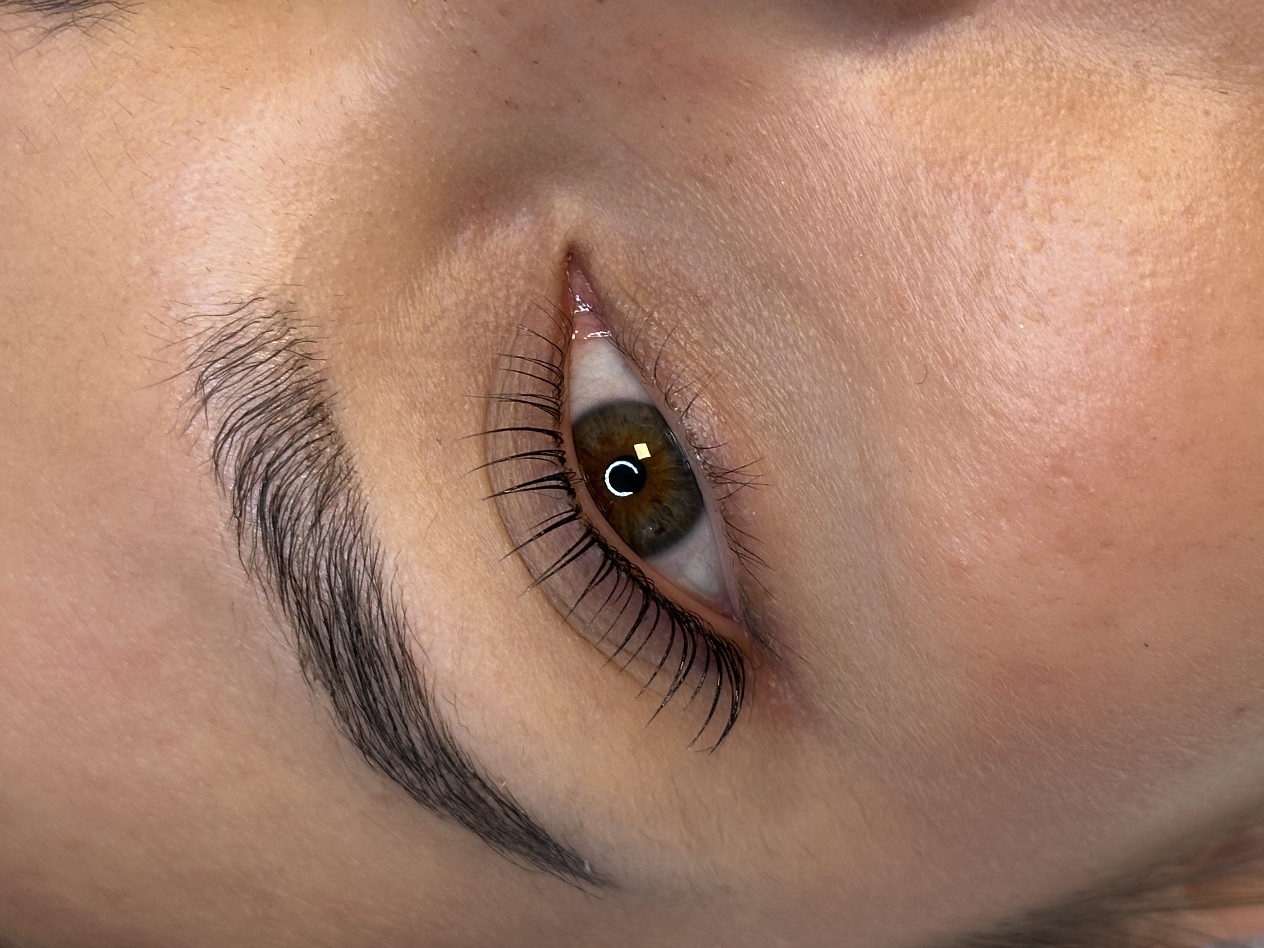 Korean Lash Lift bei Glam by Joy in Hannover
