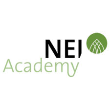 Logo NEI Academy