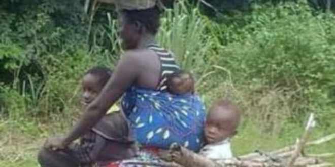 Frankiefrimpong Frankiefrimpong My Portfolio Is Up 11 57 Etoro Sisa, along the southern edge of the central mountain range of new guinea. etoro