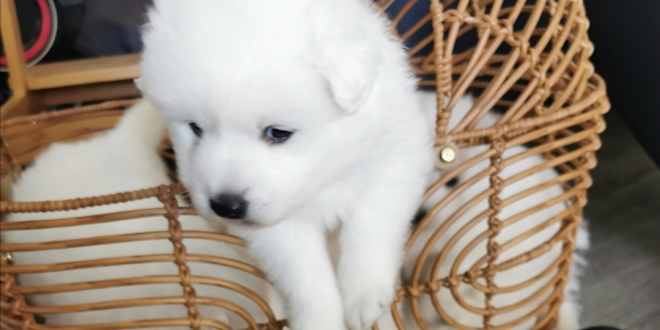 Compre e venda o ETF ProShares UltraPro Short QQQ (SQQQ) no eToro.