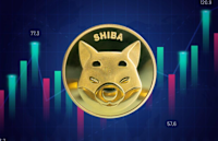 If history is any indication, the price of the Shiba Inu will increase by 422% in October.
