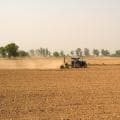 Unseasonal rains hit wheat crop in Punjab, Haryana; CMs promise relief