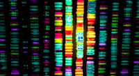 BioNano Genomics Reports Q4 Beat, Issues FY23 Guidance: What Investors Need To Know