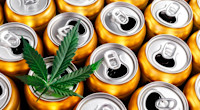 The Evolution Of Social Drinking: Beverage Companies Dip Their Toes Into Cannabis