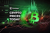 Bitcoin Price Today | Crypto Prices Today: Market Rallies As BTC, Pepe Coin, BEAM Soars