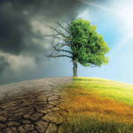 McDonald’s, Post Holdings, and PUMA Partner in Supplier Leadership on Climate Transition
