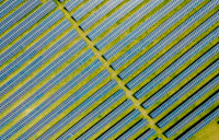 Waaree Energies supplies 850 MW solar PV modules to Acciona Energia for Texas, Ohio and Illinois projects