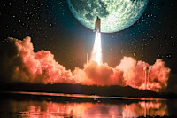 Why Avalanche, Cardano and Shiba Inu Absolutely Skyrocketed This Past Week