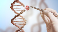 The 3 Best CRISPR Stocks to Buy Now Before They Skyrocket
