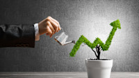 Path to Wealth: 7 Stocks with Explosive Growth Prospects