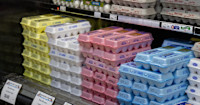 Dollar Tree Pulls Eggs from Shelves as Prices Soar in Joe Biden's Economy