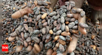 'India emerging market for cocoa, should become inter-govt body'