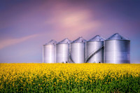 Bunge partners on renewable fuels initiative