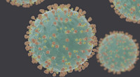 How silicon, gold, copper help destroy covid-19 virus