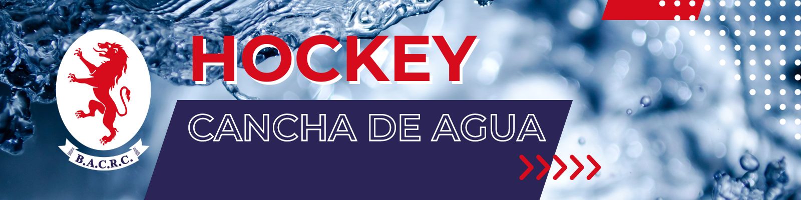 Hockey cancha de agua