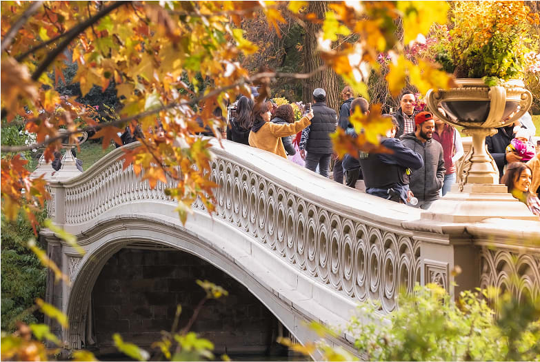 Central Park: Movie & TV Tour