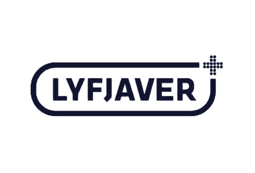 Lyfjaver logo with bold dark navy text inside a rounded rectangle border and a pixelated plus sign icon