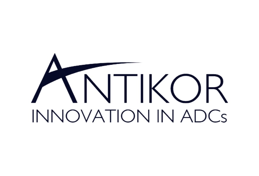 Antikor company logo with stylized letter A and tagline Innovation in ADCs in dark navy blue