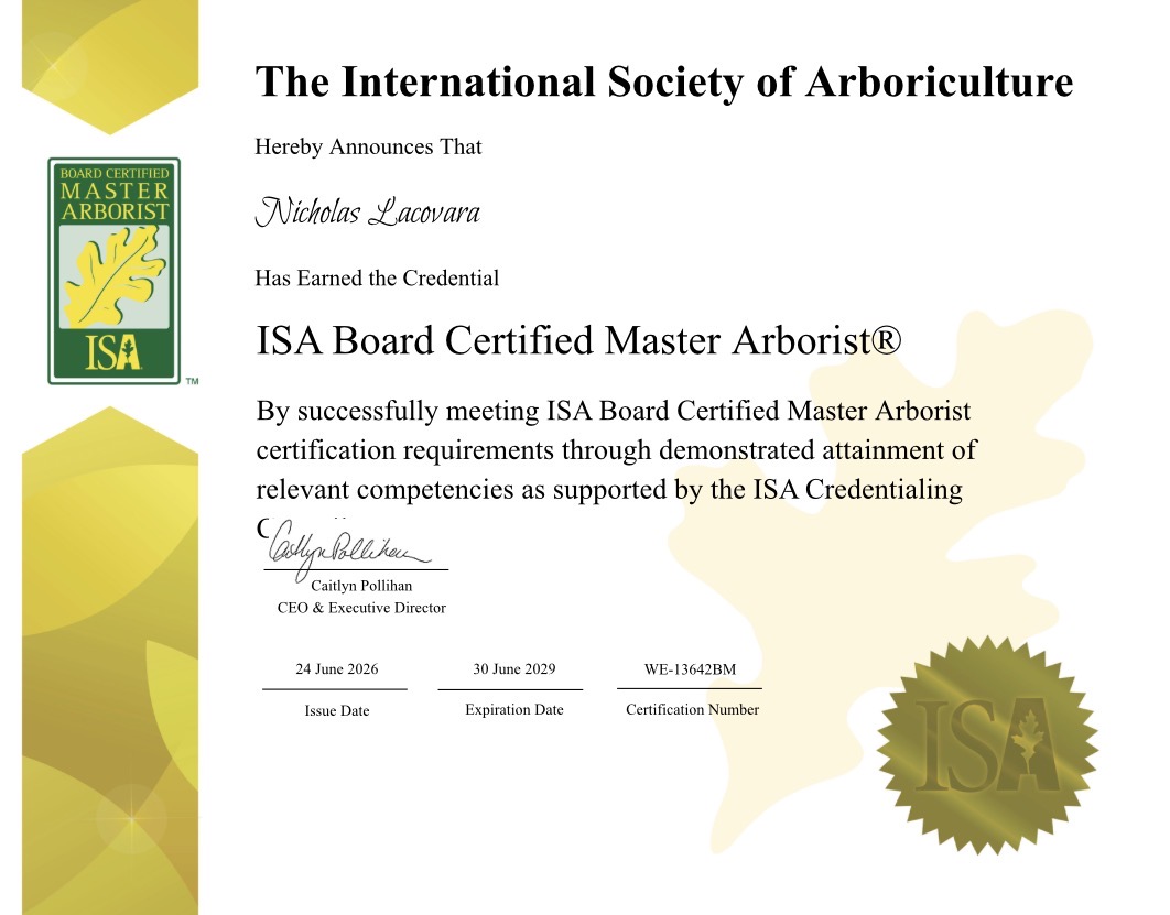 ISA Board Certified Master Arborist certificate