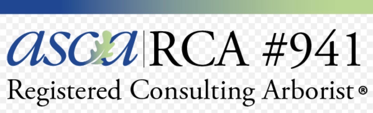 ASCA Registered Consulting Arborist RCA 941 credential