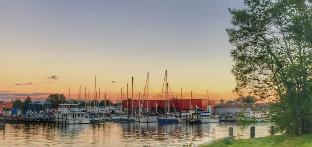IBE Certificate Program - November 2019
