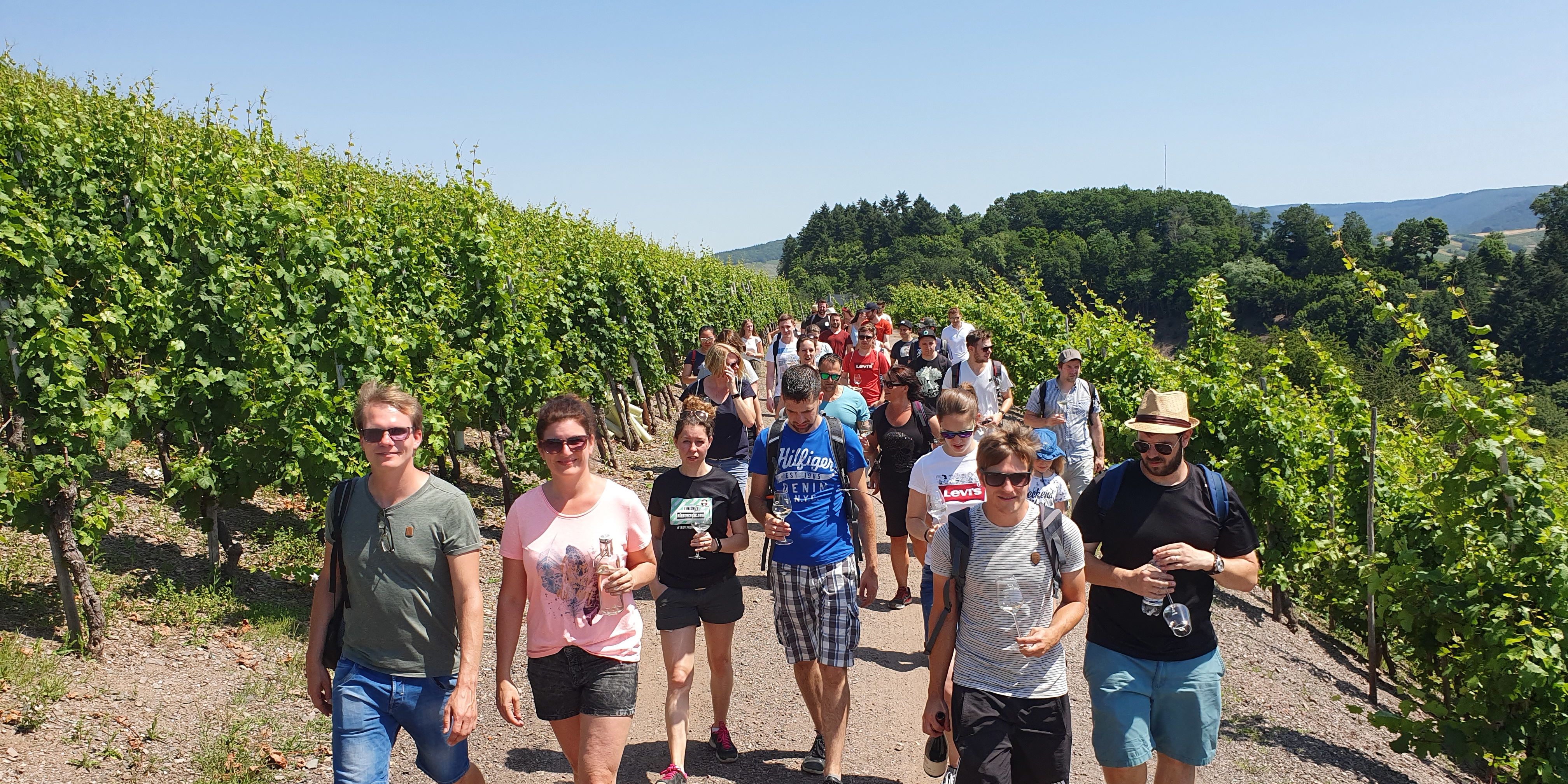 Wanderung durch die Weinberge von Saarburg