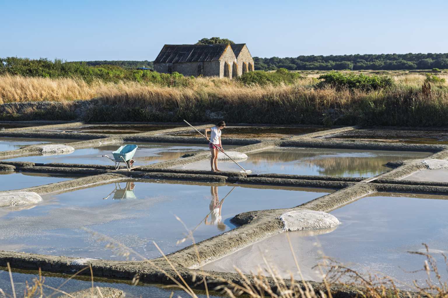 Adult scooping salt in the salt pan fields close to Parc Sainte-Brigitte campsite, Brittany