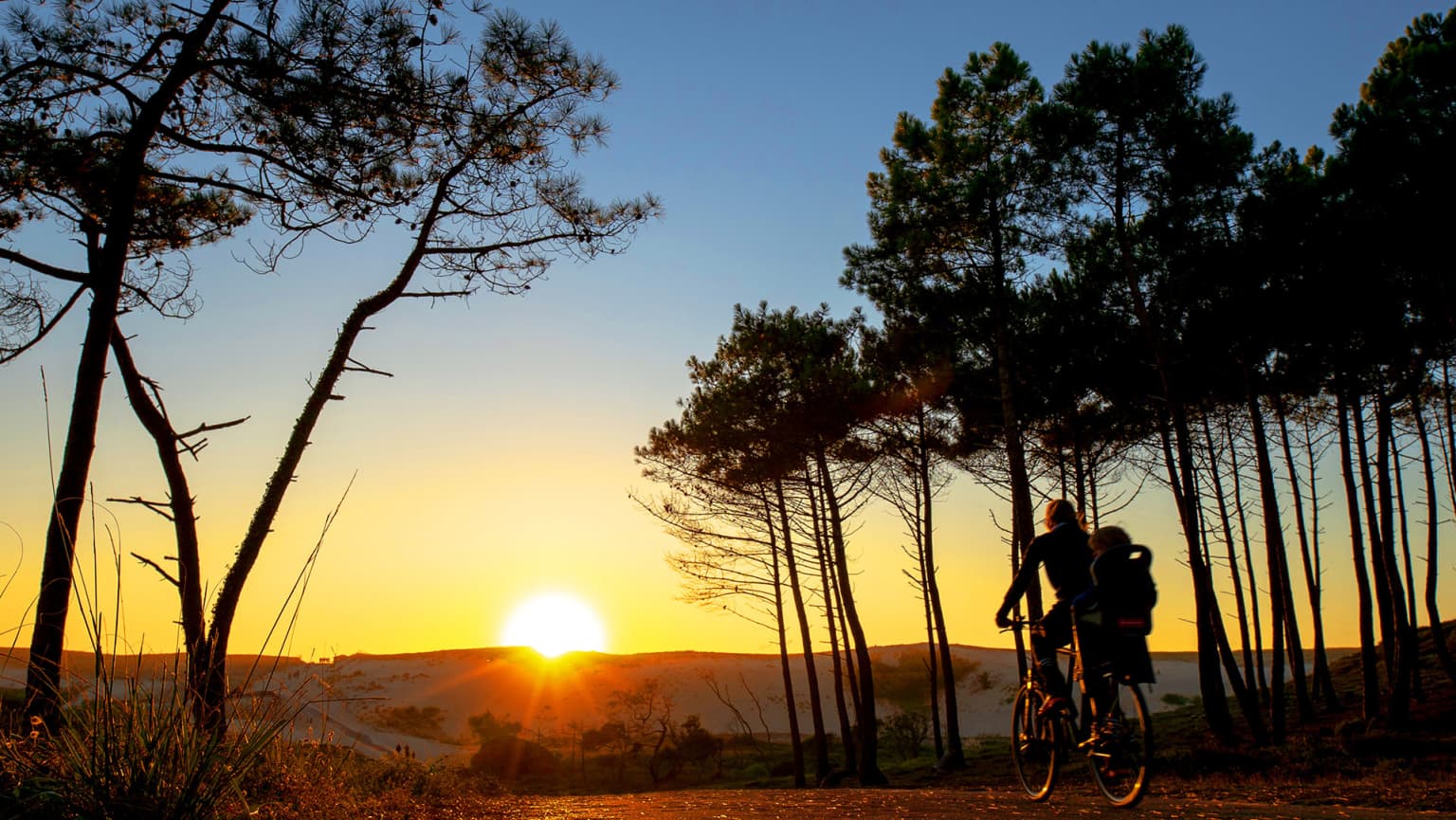 messanges, le vieux port, campsite, landes, beach path, cycling