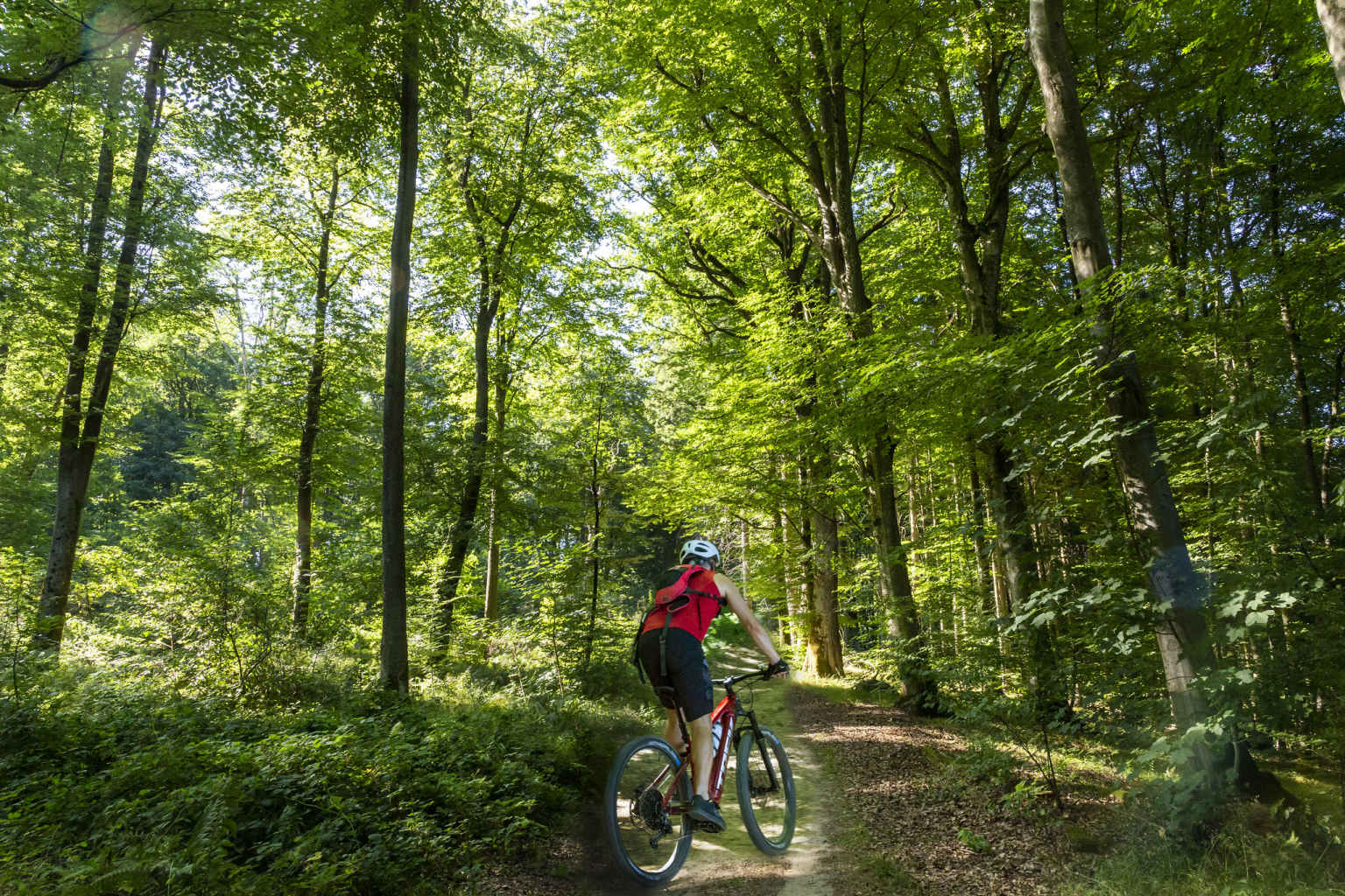 Larochette, Birkelt campsite, Luxembourg, cycling