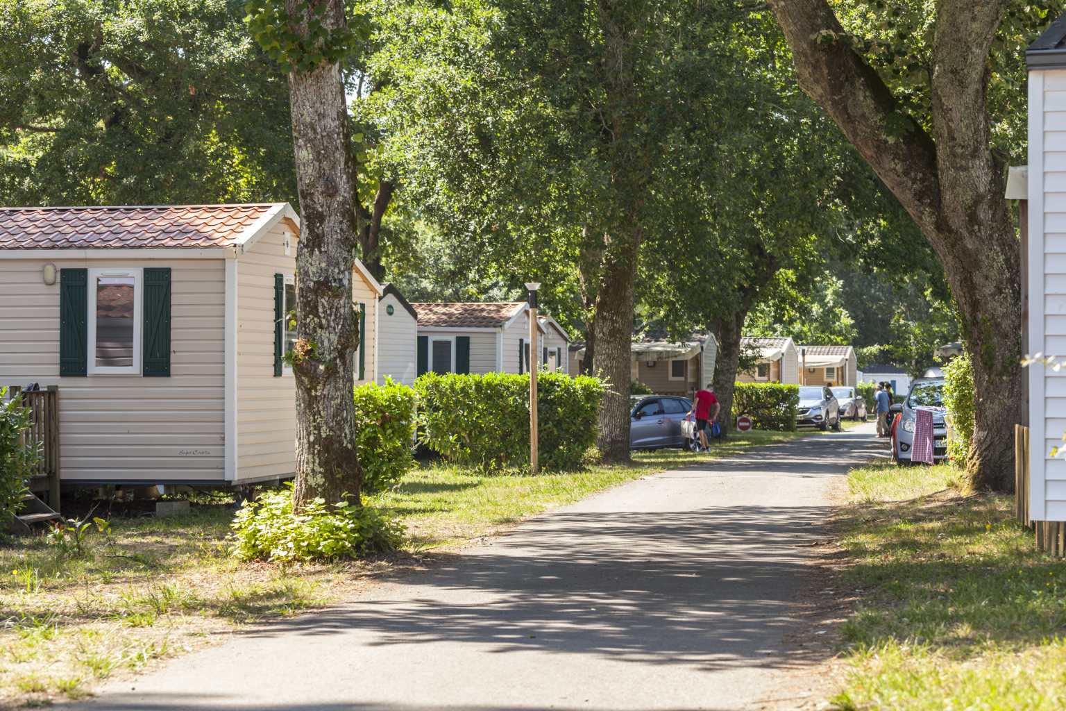Rows of holiday homes under trees at Le Soleil des Landes campsite in Landes, France