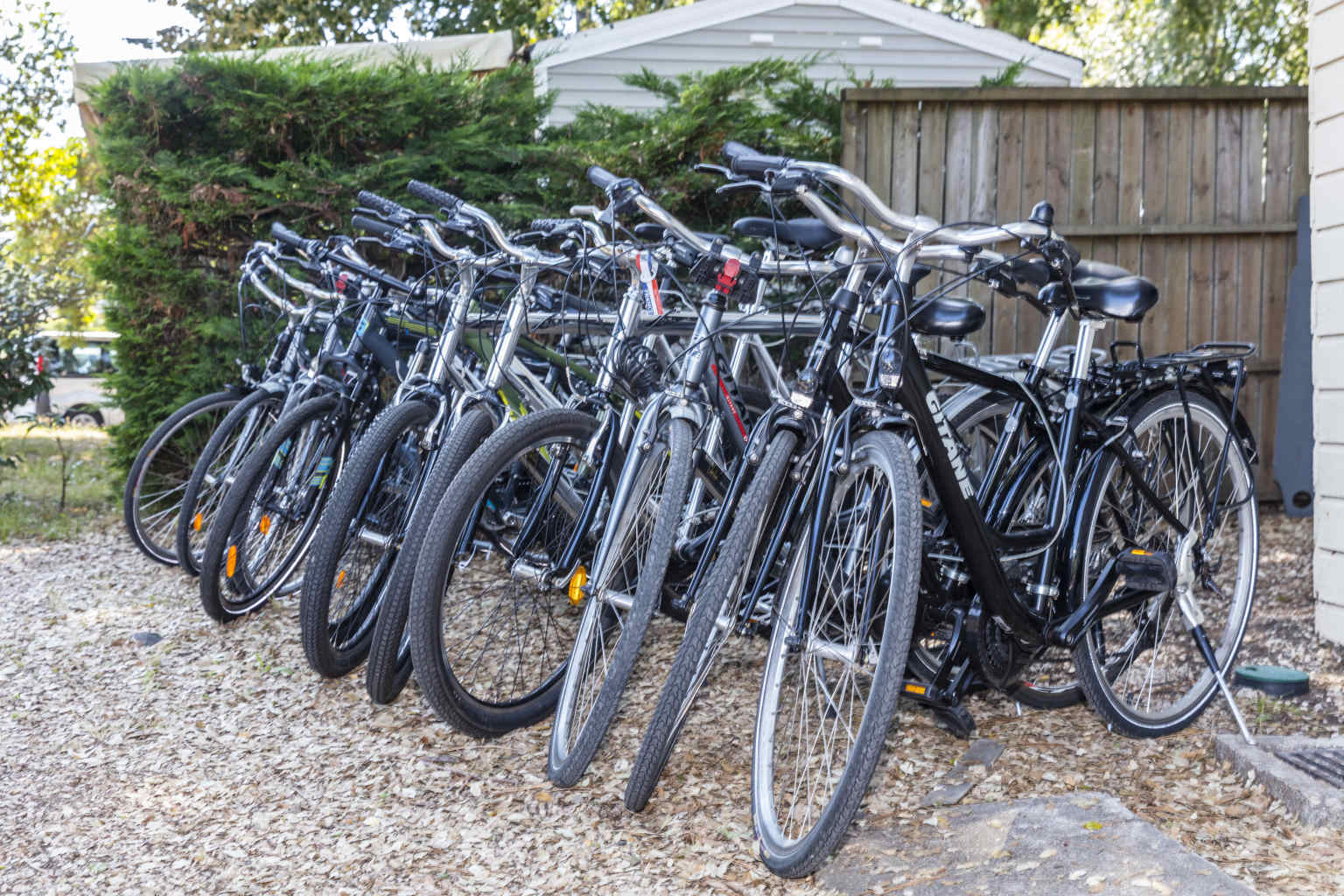 Bikes lined up for hire at Le Soleil des Landes campsite in Landes, France