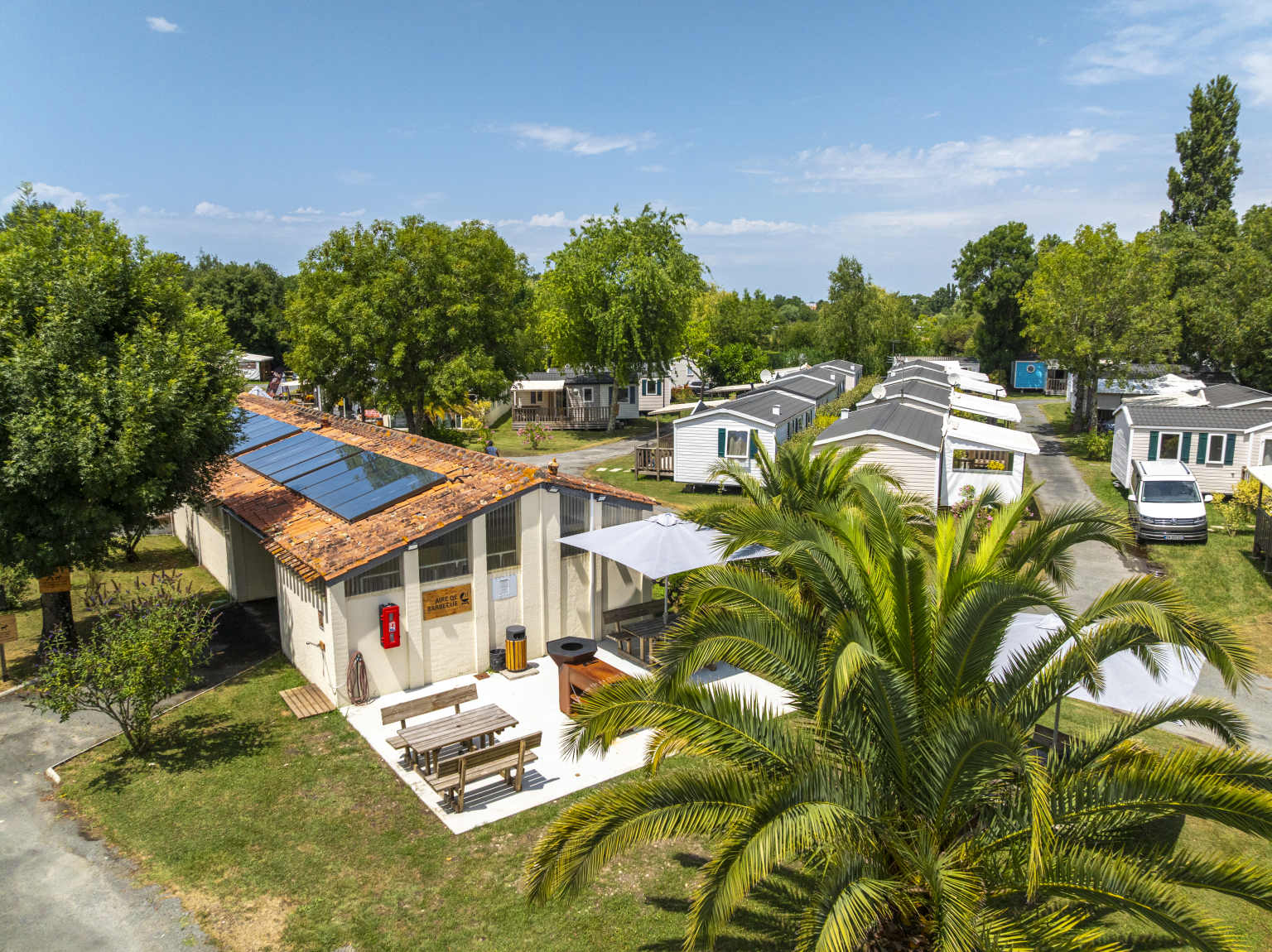 Les Catalpas 12