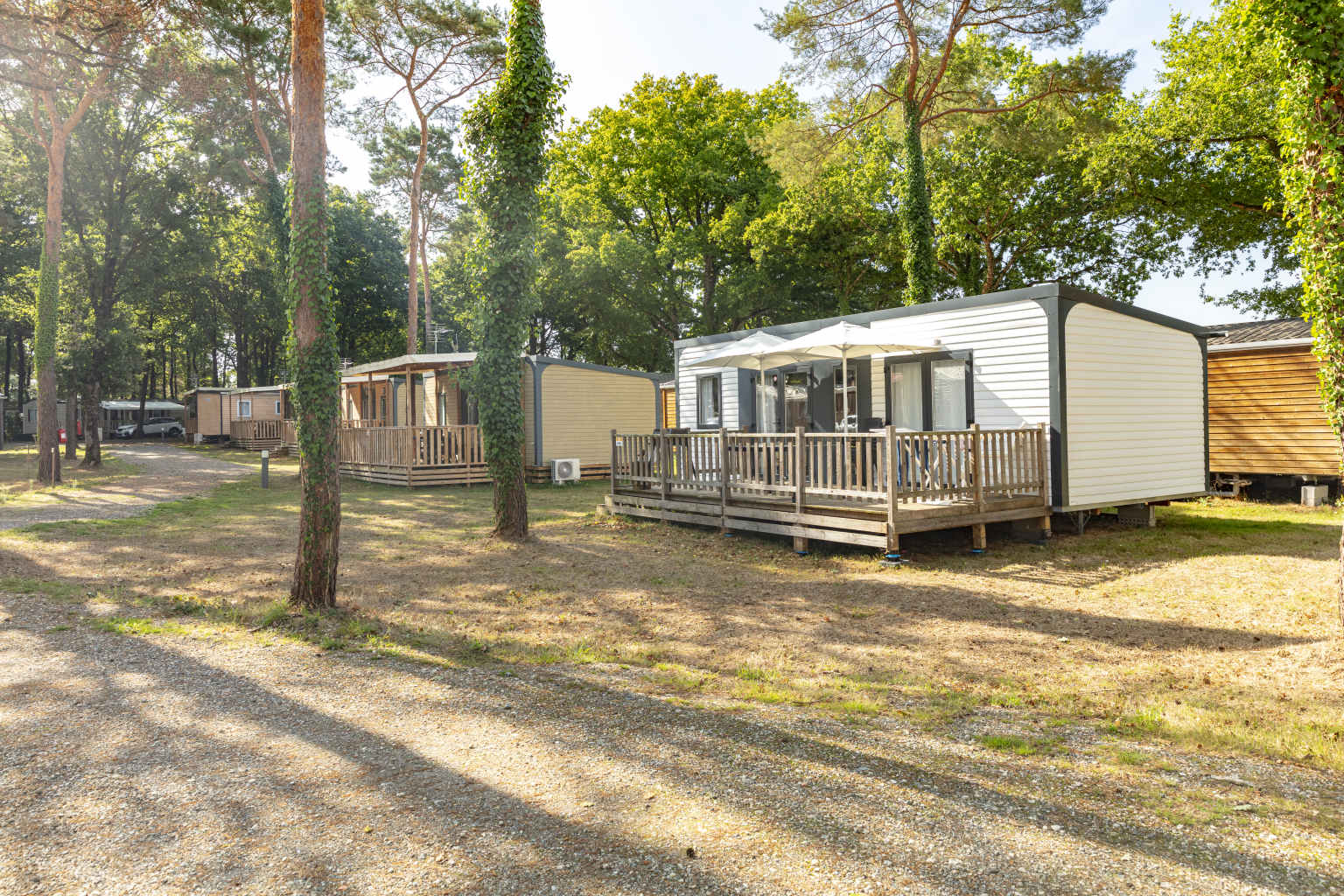 Holiday home with two parasols on decking and holiday homes with covered decking set amongst the trees at Coeur de Vendée campsite in France