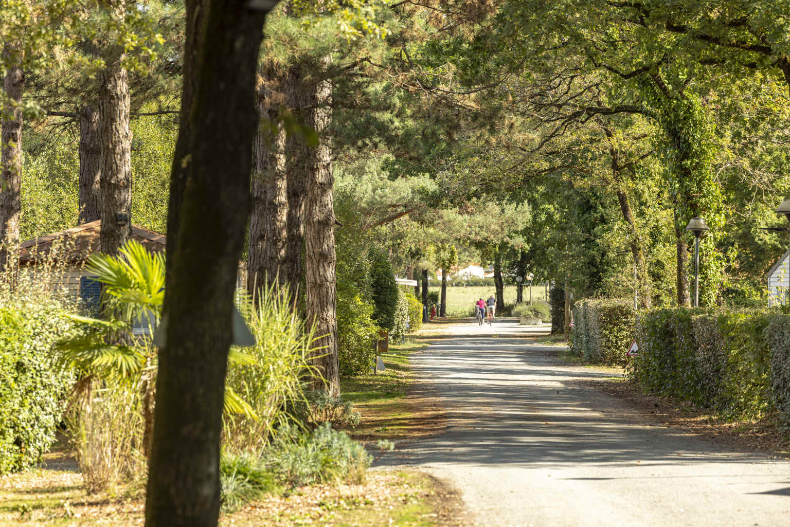 Couple cycling down the site road under the trees at Coeur de Vendée campsite in France
