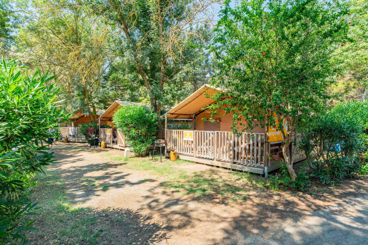 Super Lodge Tents in a row under trees at Ma Prairie campsite, Roussillon France