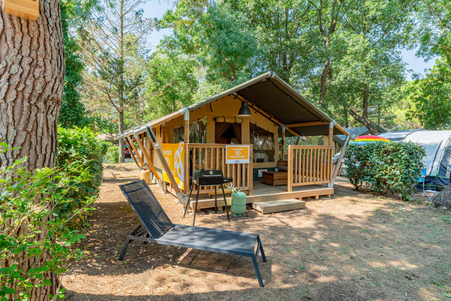 Eco Lodge Tent under tall pine trees at Ma Prairie campsite in Roussillon France